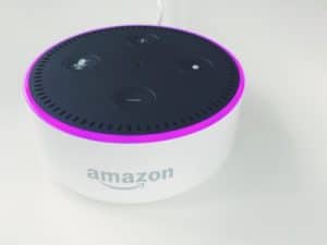 white echo dot with purple ring